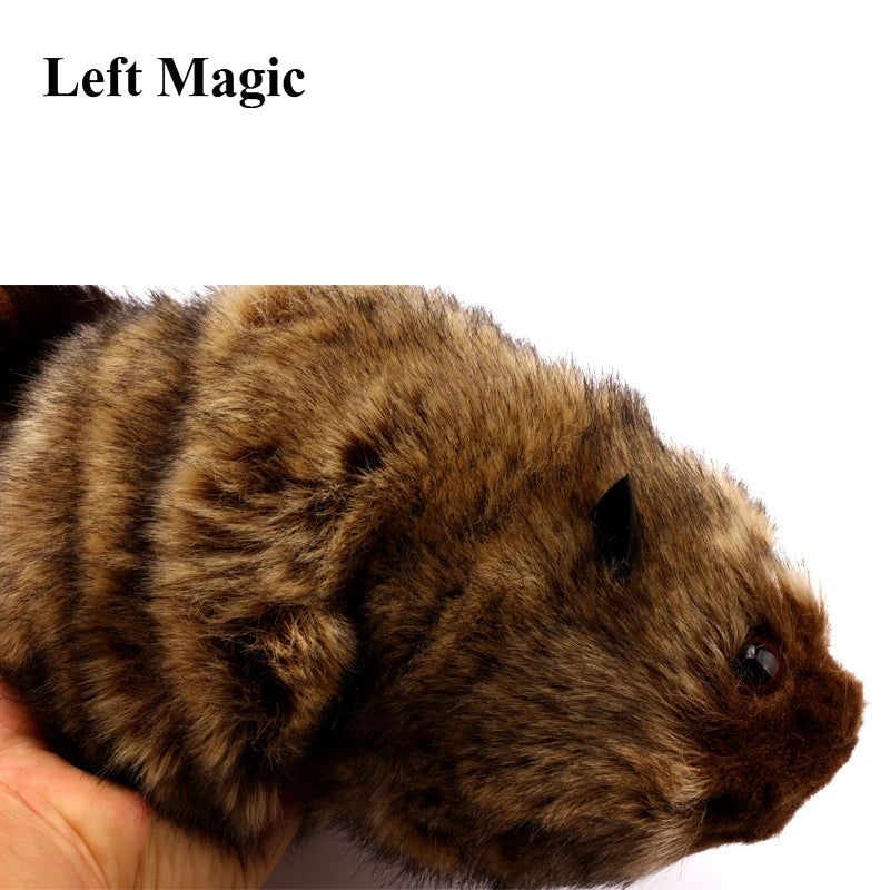 "The Rocky Raccoon Magic Robbie Magic Tricks Stage Street Illusions Gimmick Accessories Prop Funny Appear Spring Animal Magic