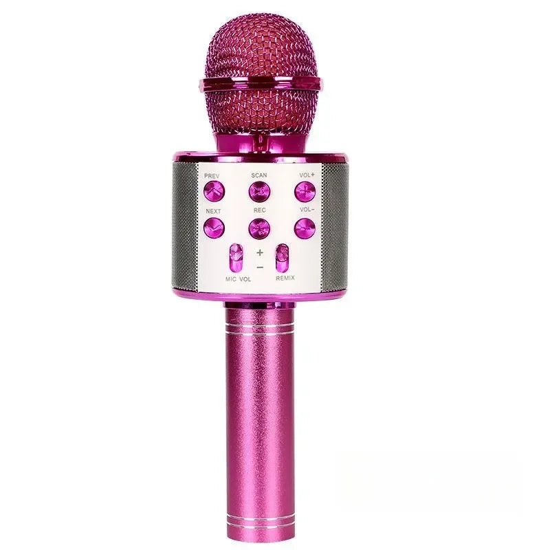 Wireless Bluetooth Karaoke Microphone for Kids, 5-in-1 Portable Handheld Karaoke Mic Speaker Player Recorder with FM Radio