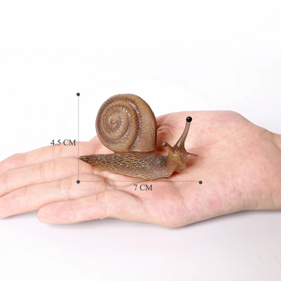 Realistic Life Cycle Of A Snail Model Figure Snail Figurine Party Favors Supplies Cake Toppers Desktop Decoration Collection Toy