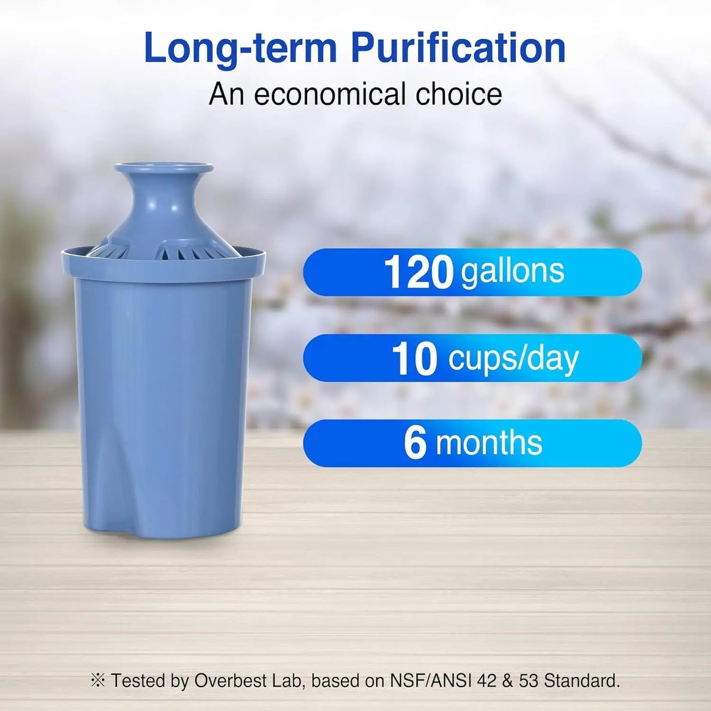 10-Cup Water Filter Pitcher with 2 Longlast Filters, Electronic Filter Change Reminder, Compatible with Brita Pitcher