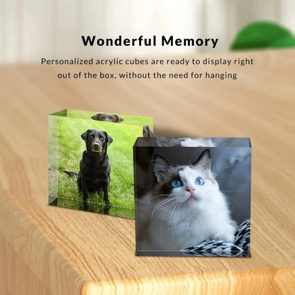 A Custom Acrylic Desktop Decoration with Personalized Photo Options, Including Artistic Images, Couple Portraits, and Family Pho