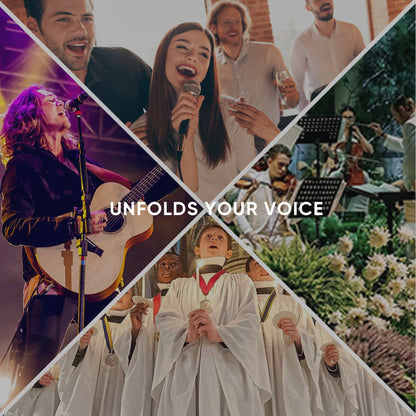 FULUODE V-10 4-channel professional wireless system with 4 handheld microphones