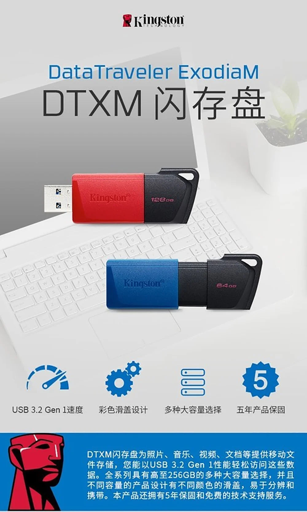 Kingston USB Flash Drive USB 3.2 Gen 1 Pen Drive 64GB 128GB 256GB Flash Disk Mini Key Memory Original Usb Stick3.2 Drives for PC
