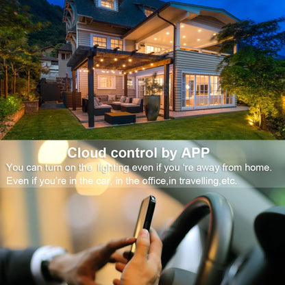 Tuya Zigbee Dimmer LED Switch 12V 24V 36V DC 2CH Wireless RF 2.4G Remote WIFI Smart Life CCT WW CW Strip Controller WZ1 Dimer