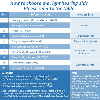 20 channel 2025 New Best Rechargeable Digital Hearing AidTone Sound Amplifier Portable Deaf Elderly BTE Hearing Aids