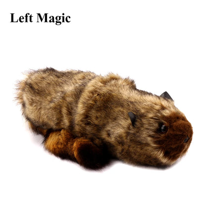 "The Rocky Raccoon Magic Robbie Magic Tricks Stage Street Illusions Gimmick Accessories Prop Funny Appear Spring Animal Magic