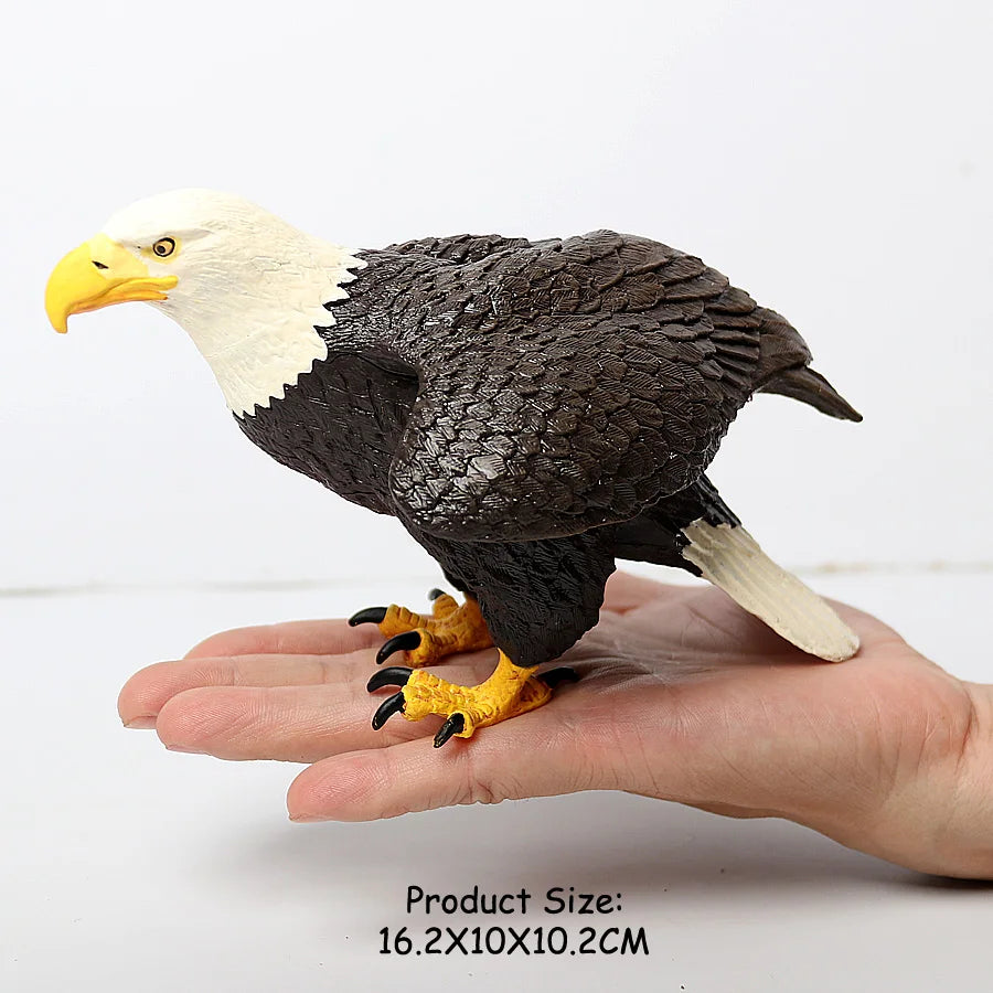 Simulated Bald Eagle Owl pelican Parrot Swan Birds Hand Painted Model Toy Figurine for Kids' Collection Science Educational Toys