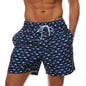 Escatch 2026 Summer New Mens Shorts Polyester Quick Dry Board Mesh Liner Side Pockets Run Gym Swimsuit Surf Swim Trunks For Man
