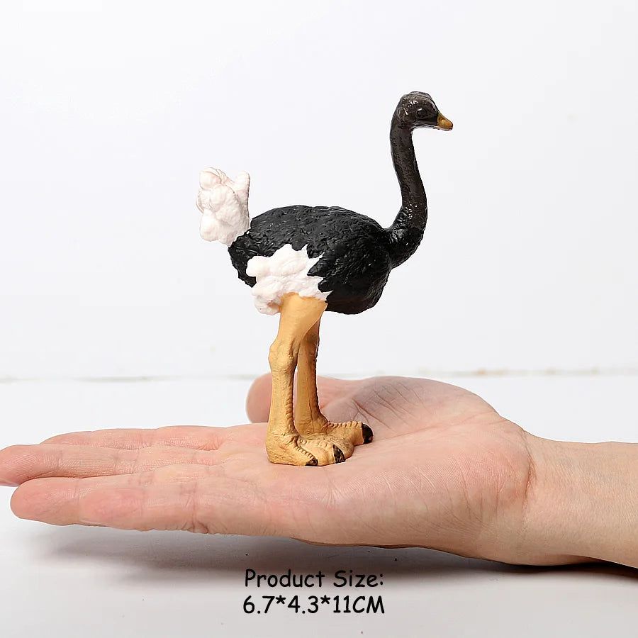 Simulated Bald Eagle Owl pelican Parrot Swan Birds Hand Painted Model Toy Figurine for Kids' Collection Science Educational Toys