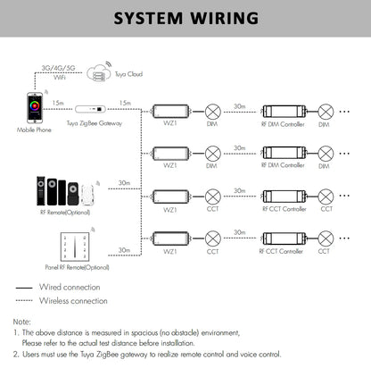 Tuya Zigbee Dimmer LED Switch 12V 24V 36V DC 2CH Wireless RF 2.4G Remote WIFI Smart Life CCT WW CW Strip Controller WZ1 Dimer