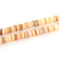 9mm Natural Freshwater Shell Beads DIY Jewelry Findings Beads Irregular Shell Chip Loose Beads for Jewerly Making
