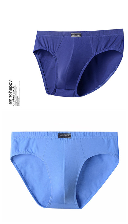 Carefully Selected Pure Cotton Men's Underwear Plus Size Briefs Breathable Sweat-Absorbent Middle-Aged and Elderly Cotton Briefs Men's Wholesale