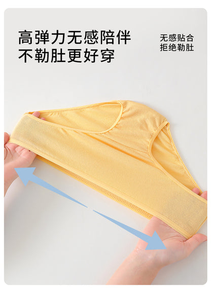 Portable Daily Disposable Underwear for Women, Postpartum Period, Large Size, Daily Disposable Pants for Pregnant Women, Individually Packaged for Travel and Business Trips