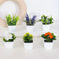 1SET Simulation Plant Potted Plant, Suitable For Commercial Office Counter, Living Room, Study, Courtyard, Home Decoration