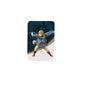 Street Fighter 6 Series 2 nfc cards Add 8 additional roles Terminal Wallpaper photo frame Clothing color for switch