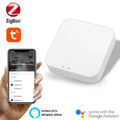 Tuya Zigbee Smart Water Valve Controller Sprinkler Drip Irrigation System and Tuya Zigbee Soil Moisture and Temperature Sensor