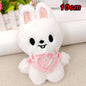 *10cm Pilot5 Fm Plush Doll Toy Field Li Longfu Skzoo Plush Stary Kids Keychain Kawaii Anime Stuffed Animals Plus Toys Gifts