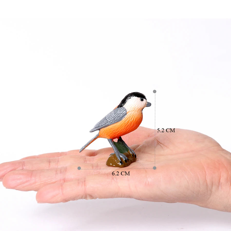Hand Painted Simulation Bird Model Figures Toucan Peacock Owl Flamingo, Early Cognition Toy Cake Decoration For Children