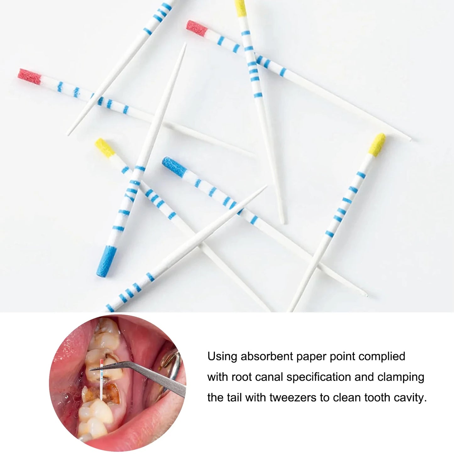 With Scale Dental Absorbent Paper Points Taper 04 15#-40# Dental Pure Cotton Fiber Paper Endodontics Treatment Consumables