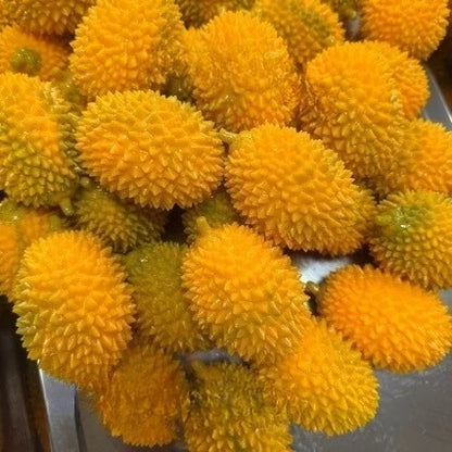 Handmade Crunchy Squishy Durian and Dragon Fruit Stress Ball Squeeze Toy, Squishy Fidget Ball, ASMR Sensory Stress Relief Toy