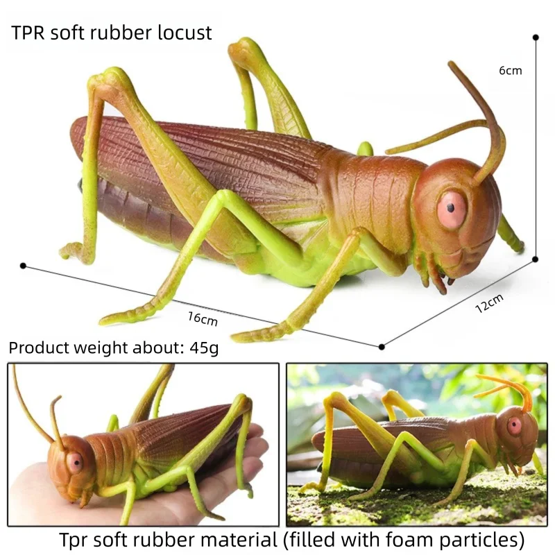Oenux Simulated Insect Mouse Lizard Sea Animal Models Realistic Dolls Soft Rubber TPR Material Collectibles Halloween Prank Toys