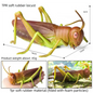Oenux Simulated Insect Mouse Lizard Sea Animal Models Realistic Dolls Soft Rubber TPR Material Collectibles Halloween Prank Toys