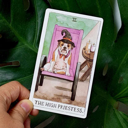 Dog Tarot Deck in Rigid Box, 78 Pcs Cards Inspired By Wise Companion Printed on 350GSM Double-embossed Cardstock - 12*7cm
