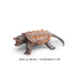 Simulation Chinese Softshell Leatherback Sea Turtle Snapping Turtles Tortoise Ocean Animal Model Education Toy Figures For Kids