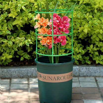 2-6Set Plant Support Plant Stakes Round Plant Support Ring Plastic Plant Cage Holder Flower Pot Climbing Trellis Gardening Tools