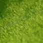 1 Box Miniature Plant Creepers Simulation Rattan Leaves Sand Table Vegetation Garden Scene Micro Landscape DIY Accessories