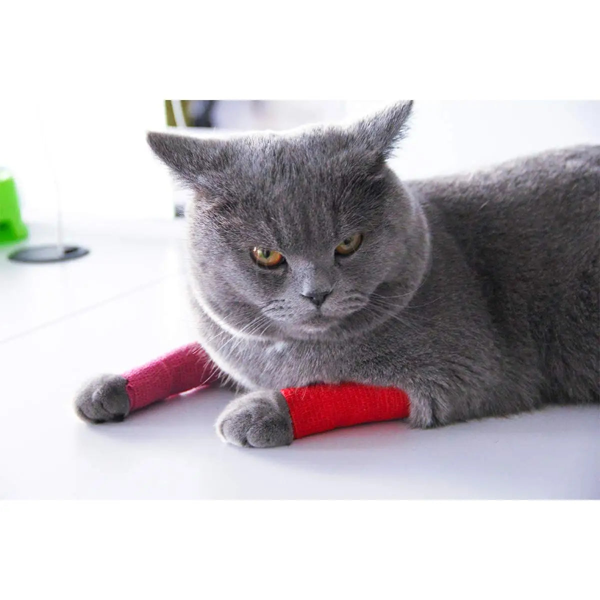 24 Pieces Self Adhesive Bandage Wrap Breathable Vet Wrap Cohesive Bandage First Aid for Pets Athletic Elastic Self Adherent Wrap