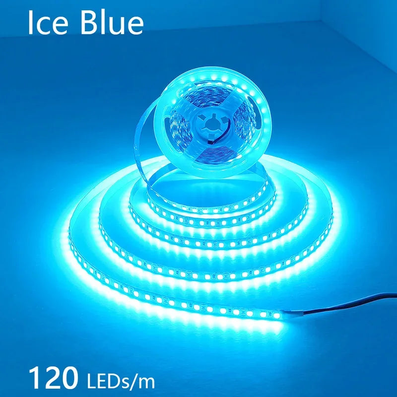 12V 24V LED Strip 2835 120LEDs/m Home Lamp Strip Pink Red Ice Blue Green Golden Yellow Orange Flexible Waterproof Soft Lamp Bar