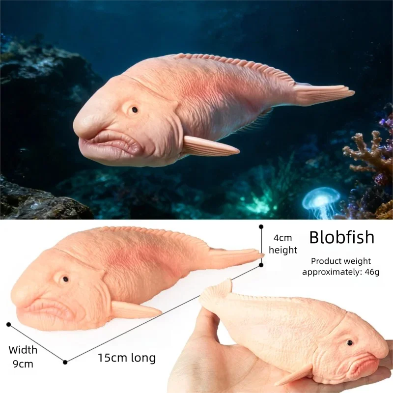 Realistic Marine Animal Figurine Deep Sea Creature Model Ocean Fish Figures Blobfish Collection Kids Toy Boy Girl Gift Ornament