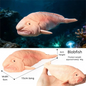 Realistic Marine Animal Figurine Deep Sea Creature Model Ocean Fish Figures Blobfish Collection Kids Toy Boy Girl Gift Ornament