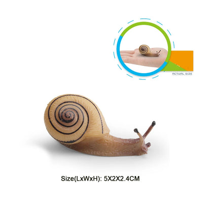 Realistic Life Cycle Of A Snail Model Figure Snail Figurine Party Favors Supplies Cake Toppers Desktop Decoration Collection Toy