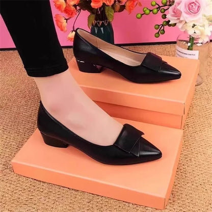 2026 Spring New Women's Pumps, Versatile Low Heel, Pointed Toe, Soft Leather, Casual Dress Shoes