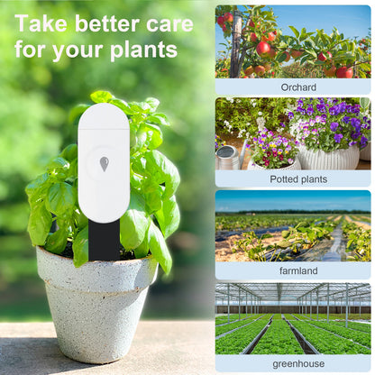 Zigbee Temperature Humidity Moisture Detector Smart Soil Tester Moisture Sensor Phone App RealTime Monitor for Home Garden