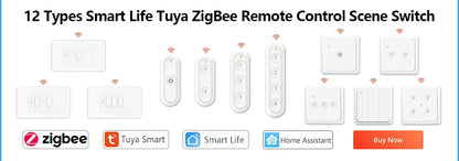 LoraTap WiFi Boiler Water Heater EU US IL Switch Tuya Smart Life App Remote Control Energy Monitoring Voice Google Home Alexa