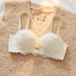 YEMOMO Lace Sexy Bra Set Padded Push Up Small Bust Lift Shaping Half Cup Concealed Bottom Intimate Underwear Set for Women  S-XL