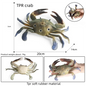 Oenux Simulated Insect Mouse Lizard Sea Animal Models Realistic Dolls Soft Rubber TPR Material Collectibles Halloween Prank Toys