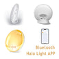 Wake Up Light Alarm Clock with Sunrise/Sunset Simulation Dual Alarms FM Radio Nightlight 7 Colors Natural Sounds Snooze