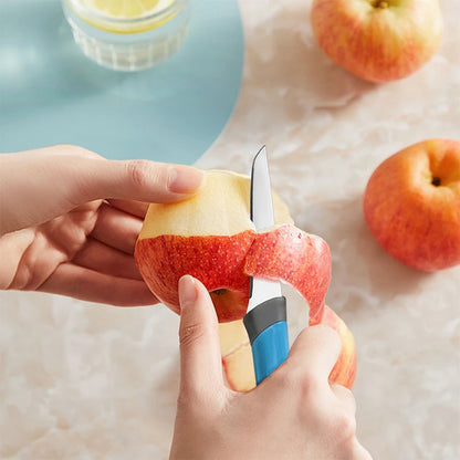 High-end 4-piece kitchen knife set, stainless steel fruit knife. A multi-functional knife used by kitchen chefs for cutting meat