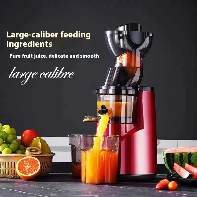 220V Juice Extractor Home Slag Separation Ginger Fruit Vegetable Juice Extractor Multifunctional Fruit Slow Juicer Automatic