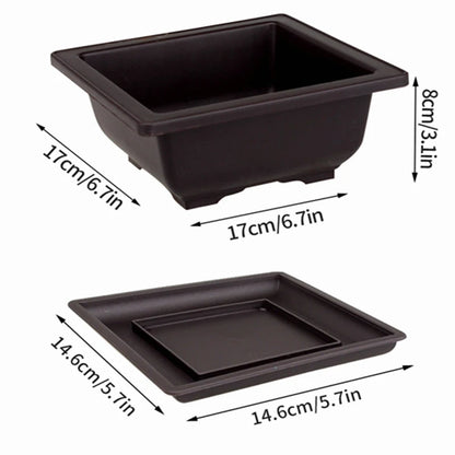 Rectangular Square Flowerpots Imitation Purple Clay Succulent Plants Pots Oval Pots Outdoor Garden Landscape Bonsai Pot Trays