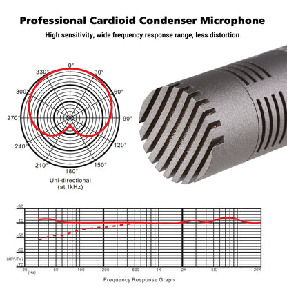 TAKSTAR CM-60 Professional Condenser Microphone XLR Cardioid Mic 48V Phantom Power Supply for Studio Recording Broadcasting Mic