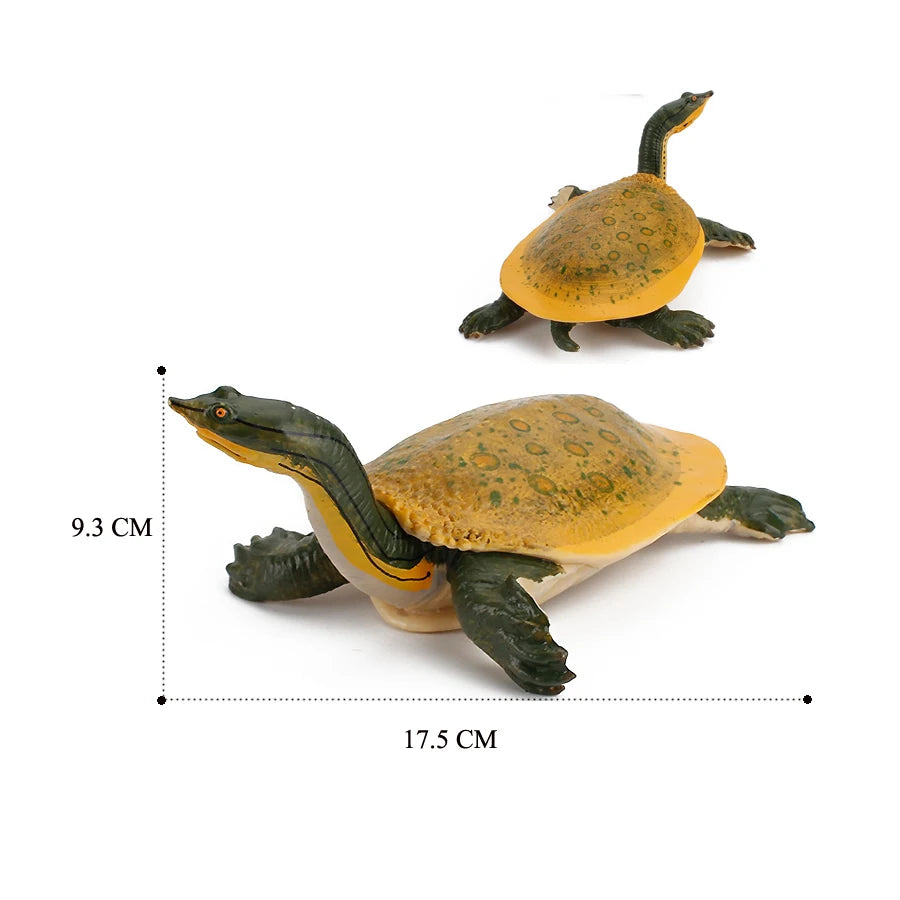 Simulation Chinese Softshell Leatherback Sea Turtle Snapping Turtles Tortoise Ocean Animal Model Education Toy Figures For Kids