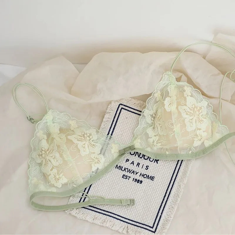 French Lace Bralette Small Bust Women Wireless Ultra Thin Sexy Embroidery Mesh No Underwire Push Up Comfort Bra Set BANERDANNI