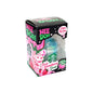 2026 New Schylling NeeDoh Bilnd Box Stress-relief drink cup Sensory Squeeze Toy Stress Relief Snowball For Focus ADHD