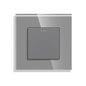 Bingoelec Grey Smart Light Switch and WiFi Wall Socket with Crystal Glass Panel Switches with Sockets Home Improvement