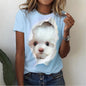 3d Kawaii Cat Printed T Shirt Women Clothing Funny Dog Animal Print Short Sleeve Tees Female Y2k Tops Girl Casual Fashion Tshirt